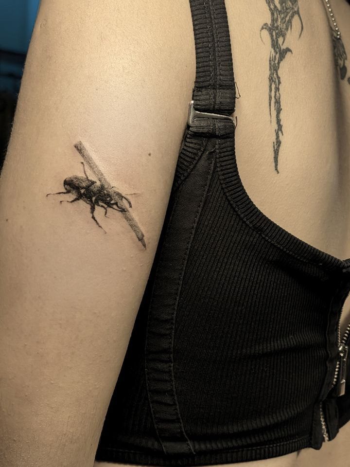 A microrealist insect tattoo on a shoulder, by Slava